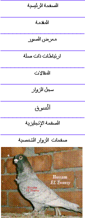 Text Box: 